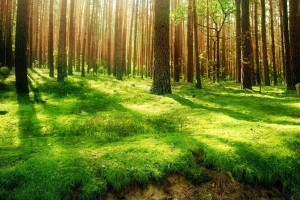 世界短跑线上对抗赛季终数据可视化报告出炉，世界短跑锦标赛